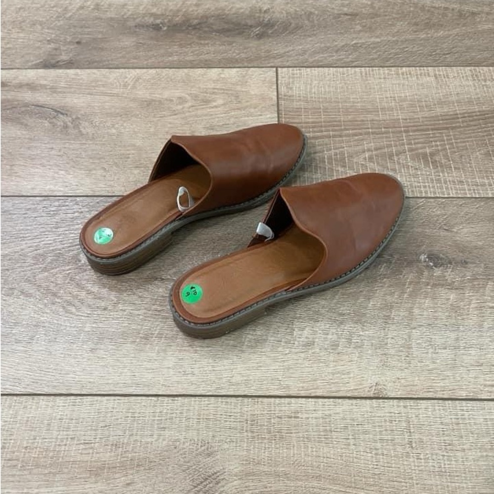 Cute Mules!